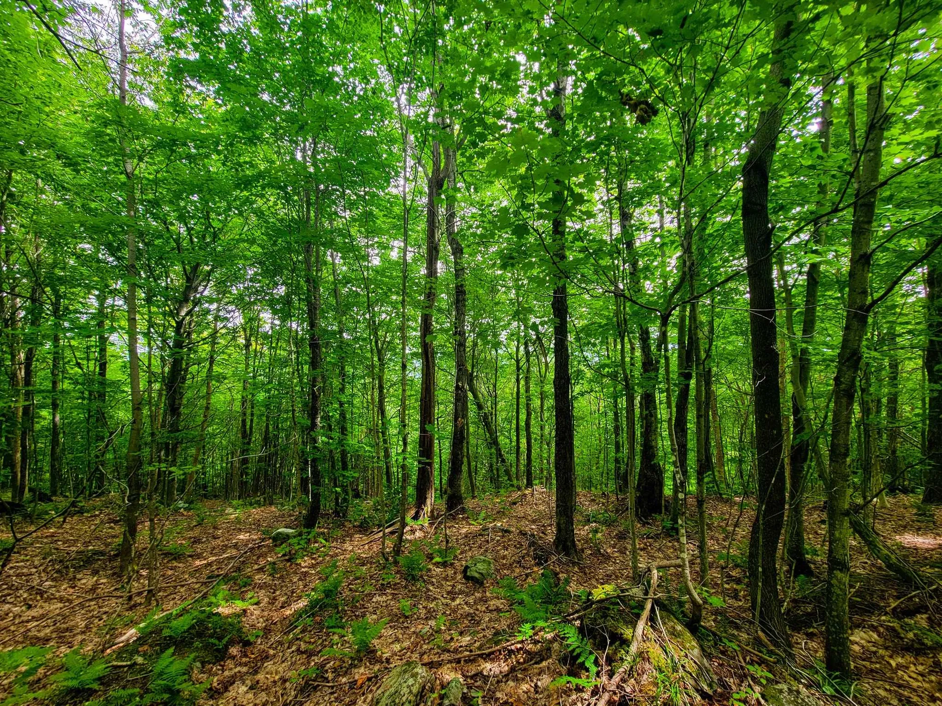 4166 Mines Road Lowell VT 05847