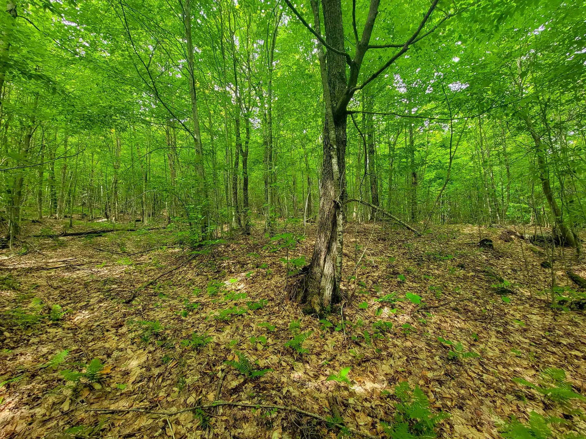 4166 Mines Road Lowell VT 05847