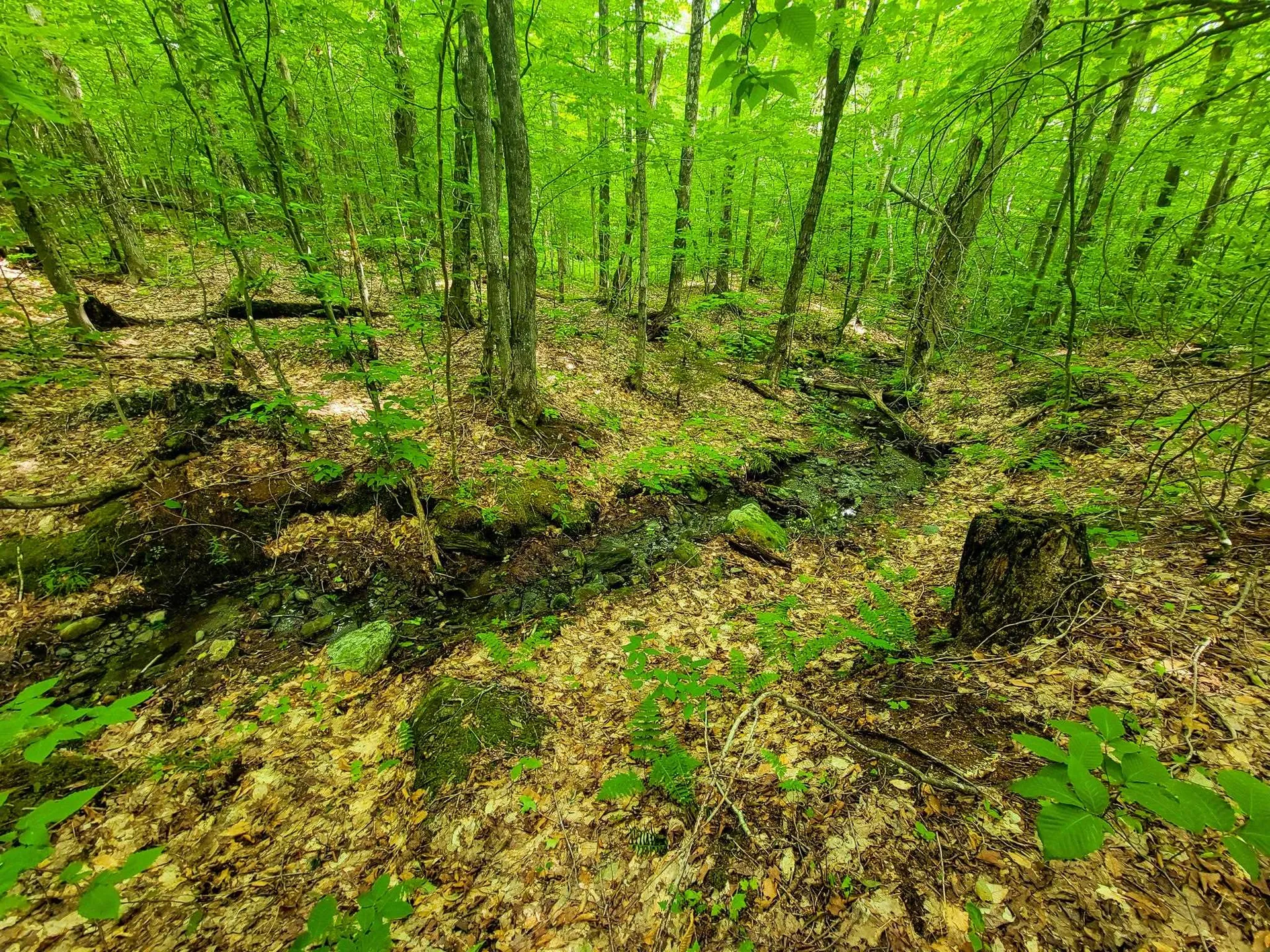 4166 Mines Road Lowell VT 05847