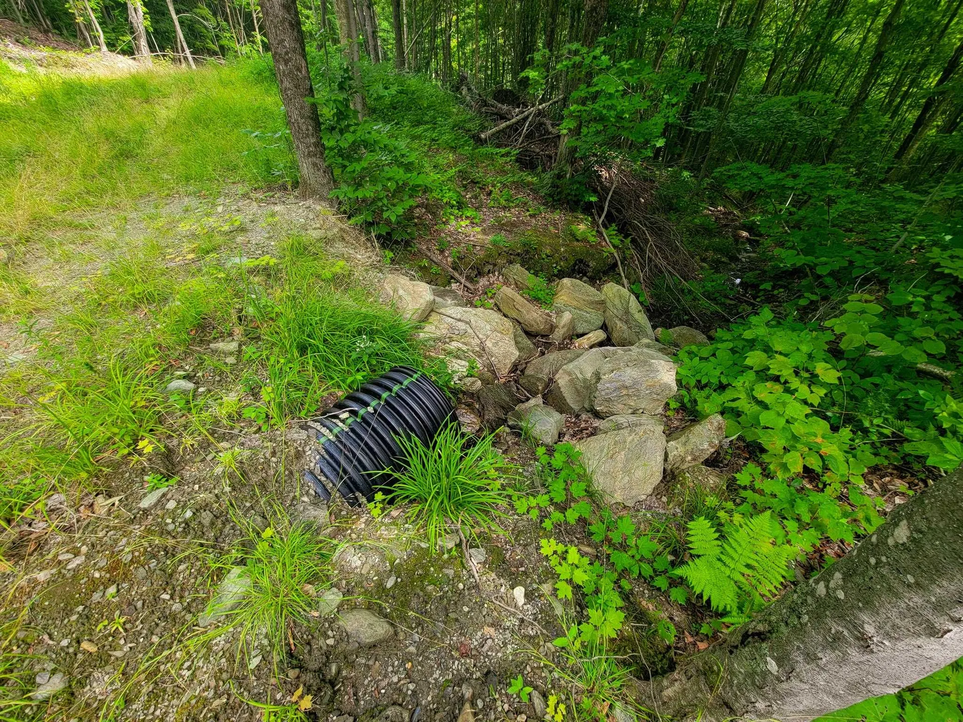 4166 Mines Road Lowell VT 05847