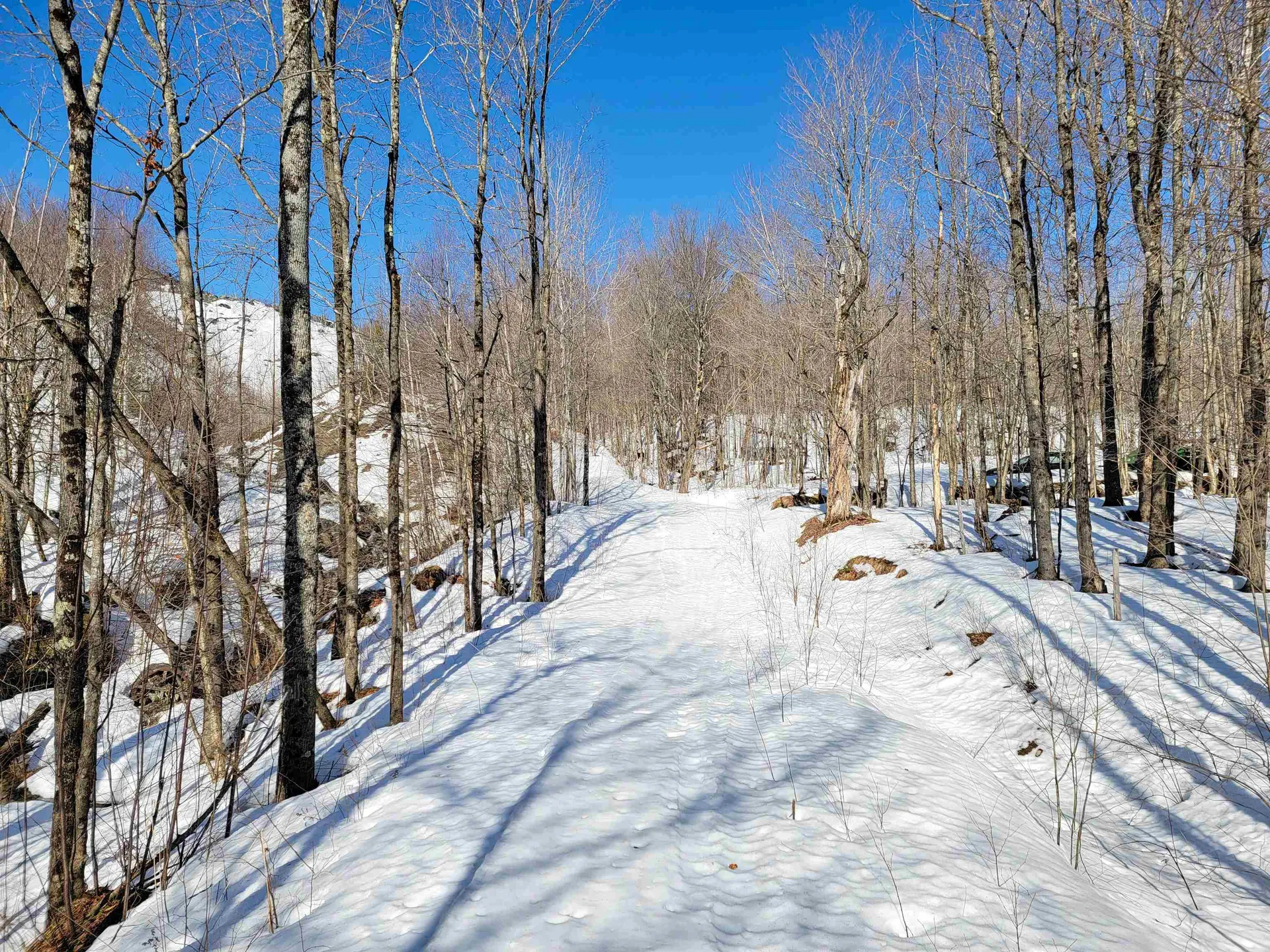 4166 Mines Road Lowell VT 05847