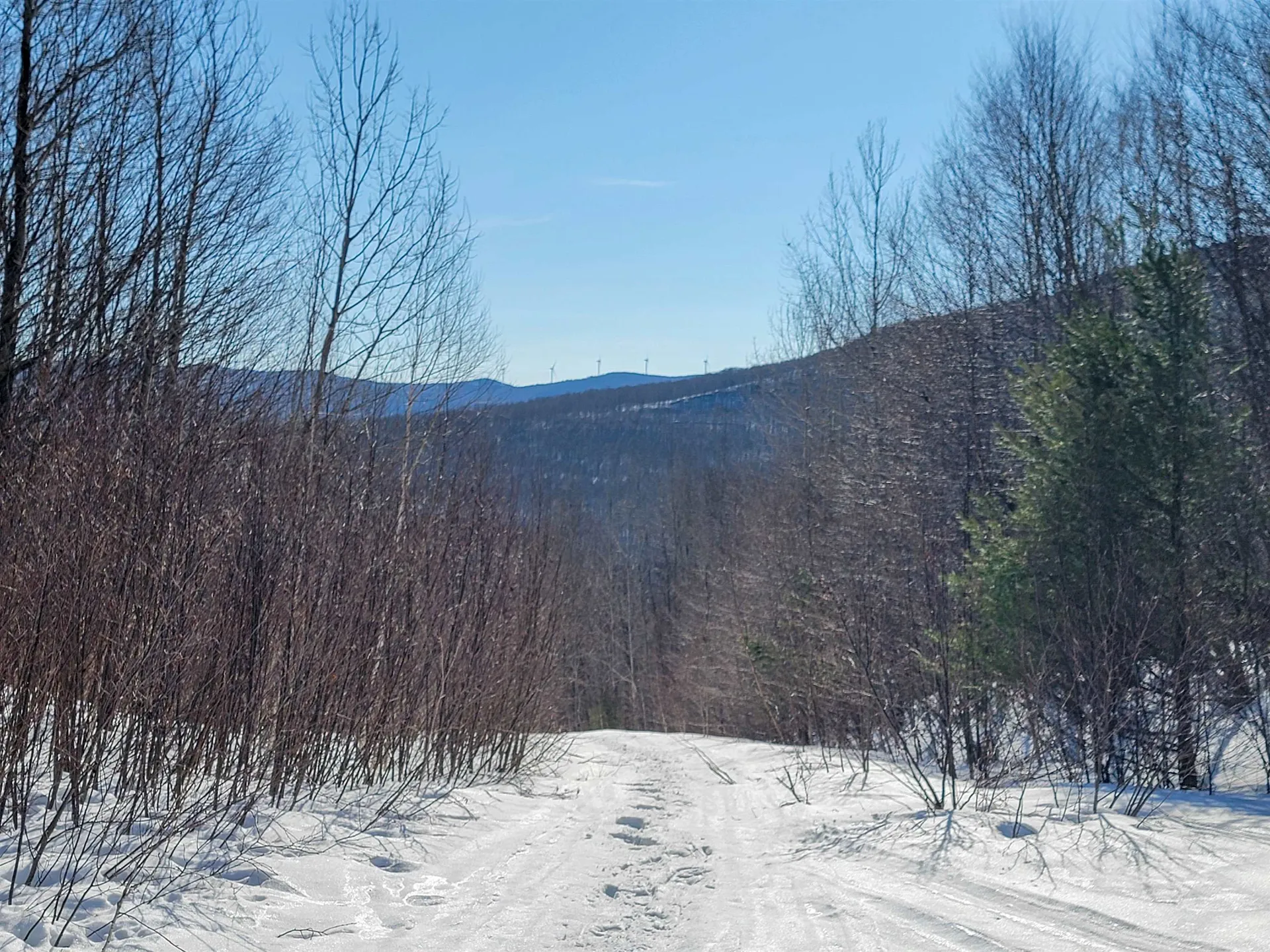 4166 Mines Road Lowell VT 05847