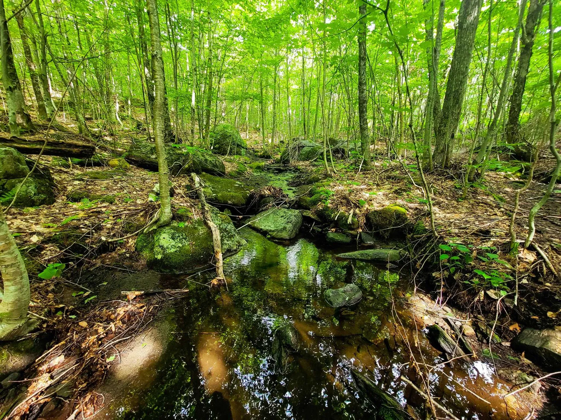 4166 Mines Road Lowell VT 05847