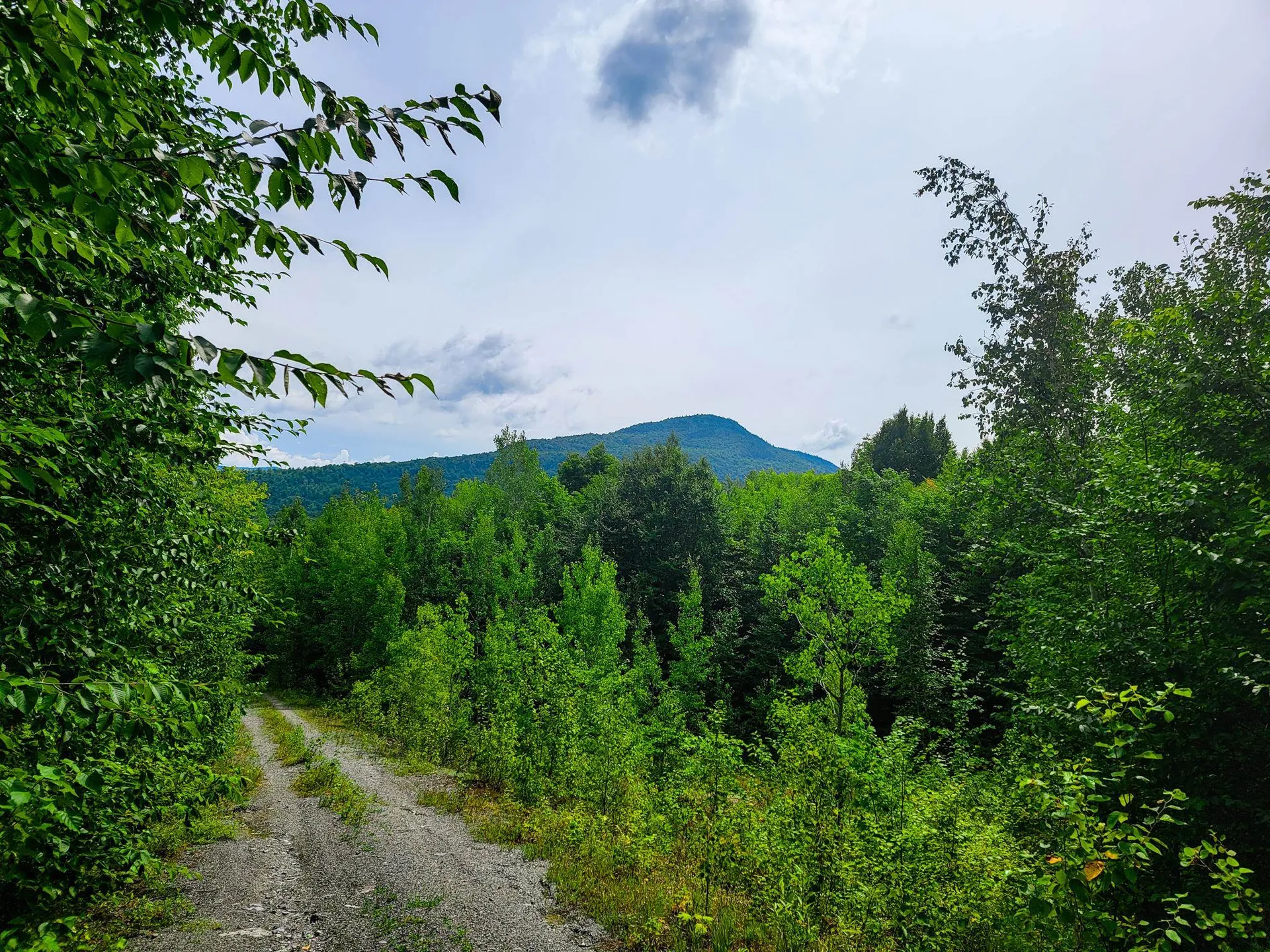 4166 Mines Road Lowell VT 05847