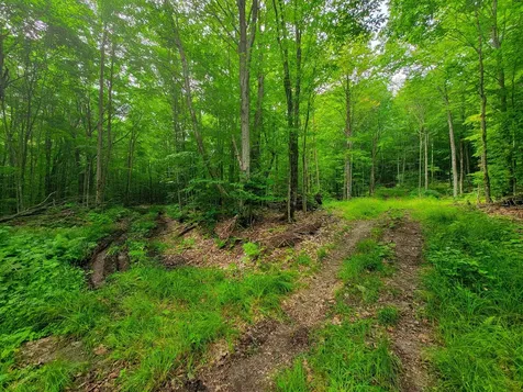 4166 Mines Road Lowell VT 05847