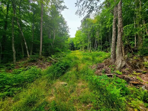 4166 Mines Road Lowell VT 05847