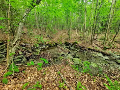 4166 Mines Road Lowell VT 05847