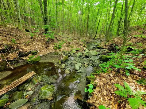 4166 Mines Road Lowell VT 05847