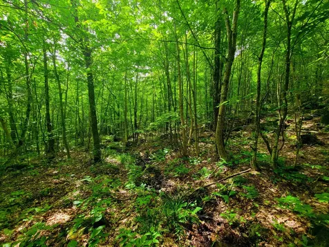 4166 Mines Road Lowell VT 05847