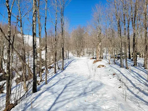 4166 Mines Road Lowell VT 05847