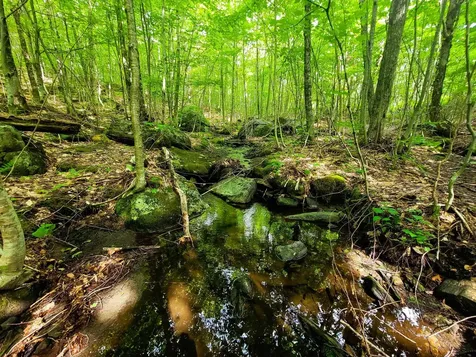 4166 Mines Road Lowell VT 05847