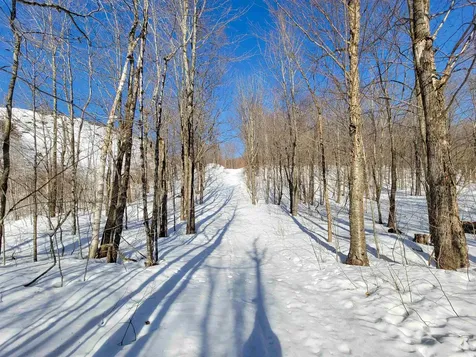 4166 Mines Road Lowell VT 05847