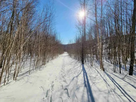 4166 Mines Road Lowell VT 05847