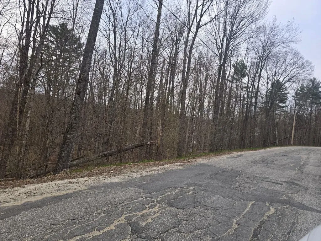 Copeland Road Unity NH 03603