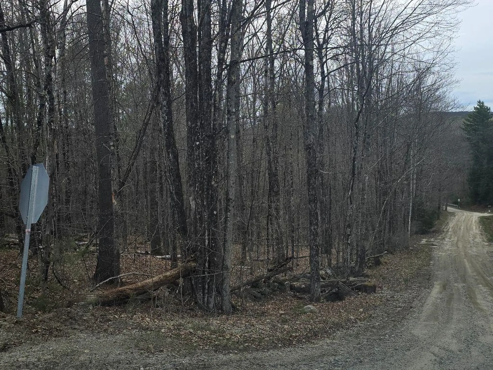 Copeland Road Unity NH 03603