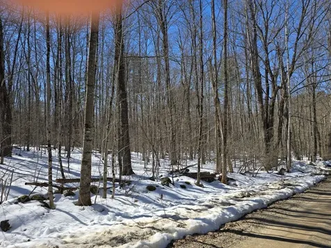 Copeland Road Unity NH 03603