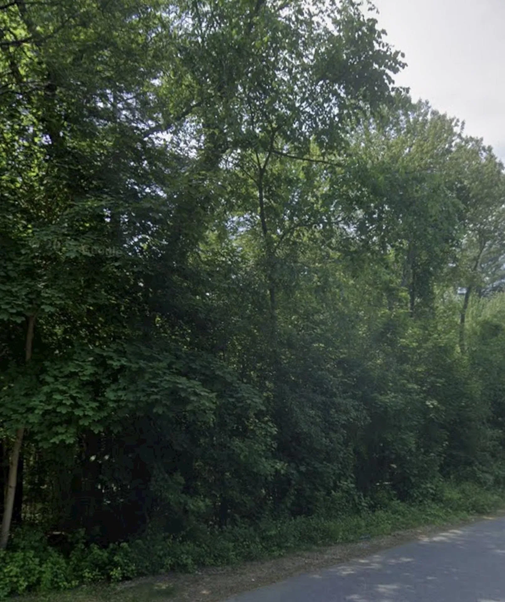 17 Tyler Road Derry NH 03038