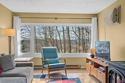 220 Mountainside Drive Stowe VT 05672