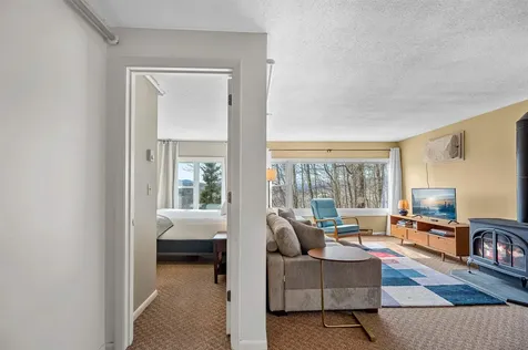 220 Mountainside Drive Stowe VT 05672