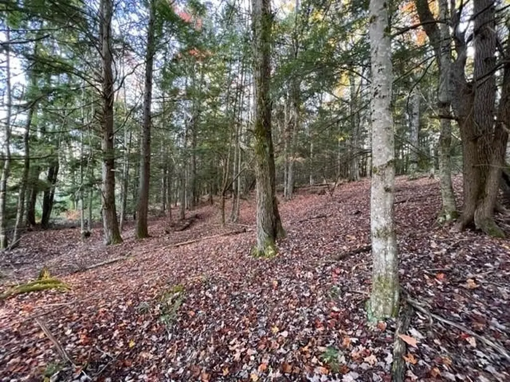 75 Clark Mill Road Weare NH 03281