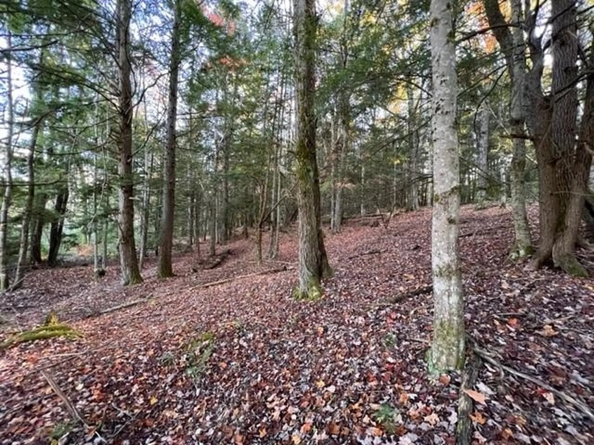 75 Clark Mill Road Weare NH 03281