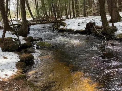 75 Clark Mill Road Weare NH 03281