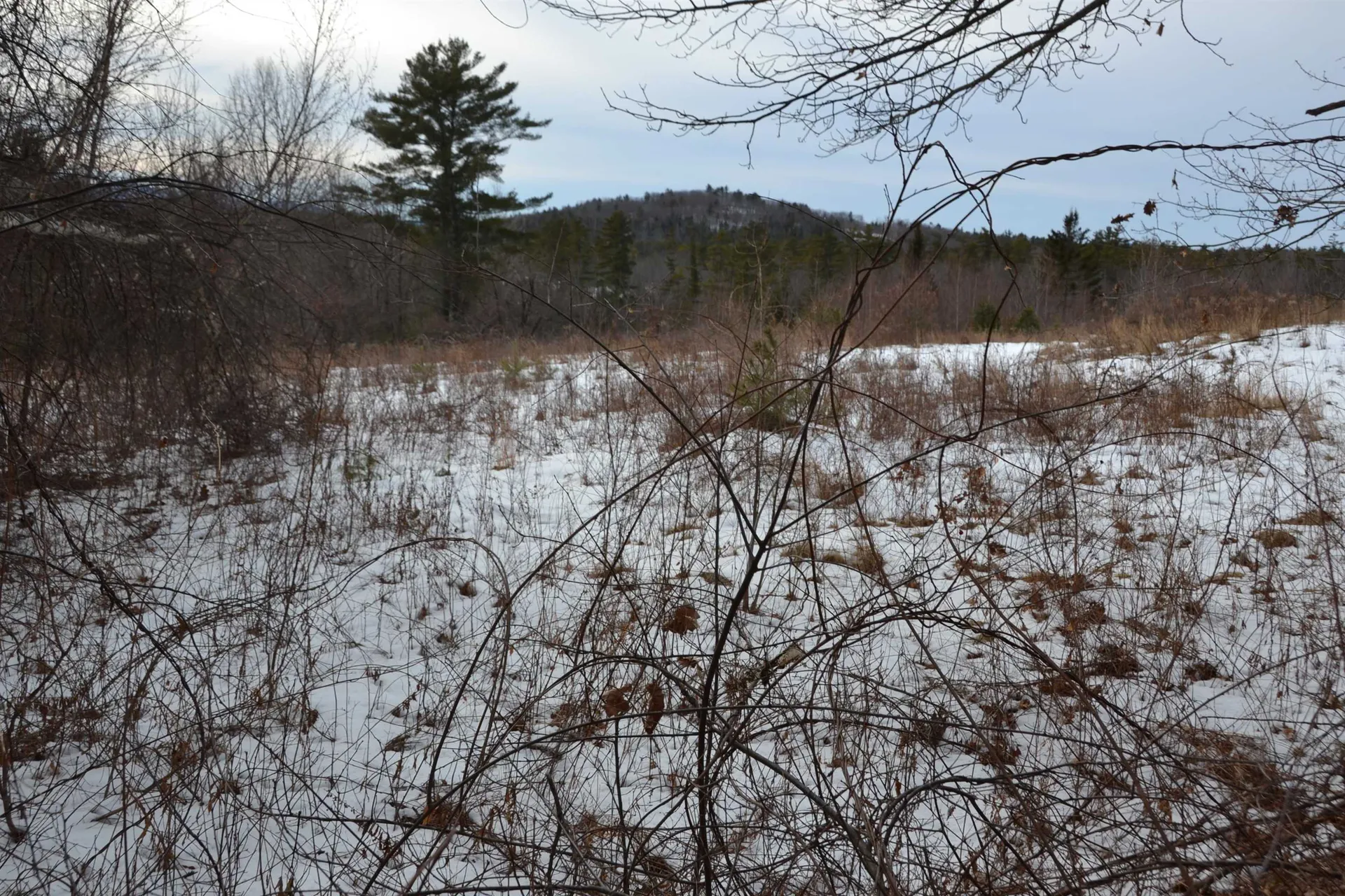38 Sodom Road Tuftonboro NH 03816