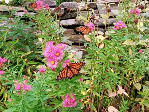 3130 Vt Route 100 Whitingham VT 05342-0602