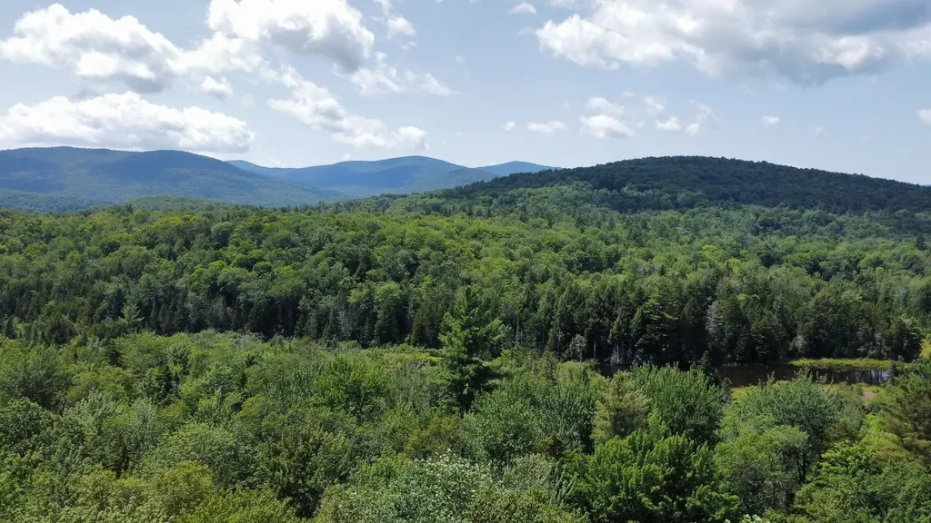 00 Prickly Mountain Road Warren VT 05674
