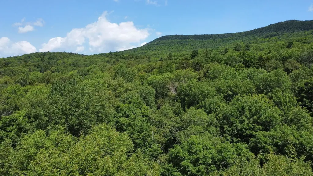 00 Prickly Mountain Road Warren VT 05674