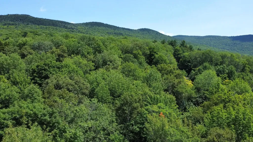 00 Prickly Mountain Road Warren VT 05674