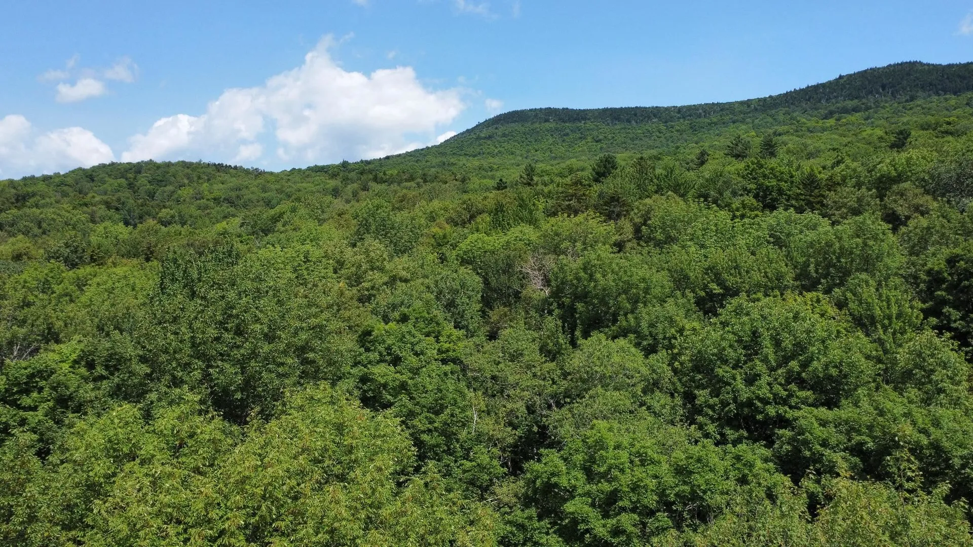 00 Prickly Mountain Road Warren VT 05674