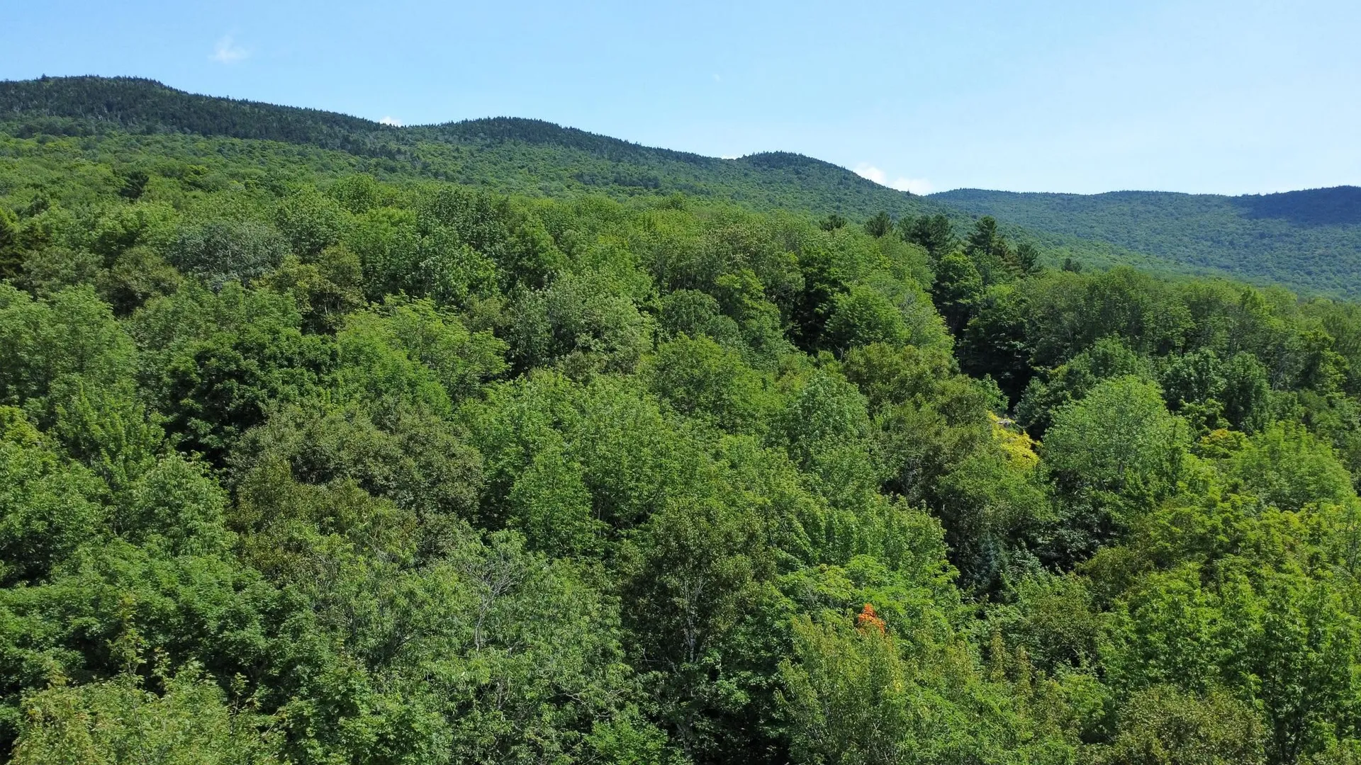 00 Prickly Mountain Road Warren VT 05674