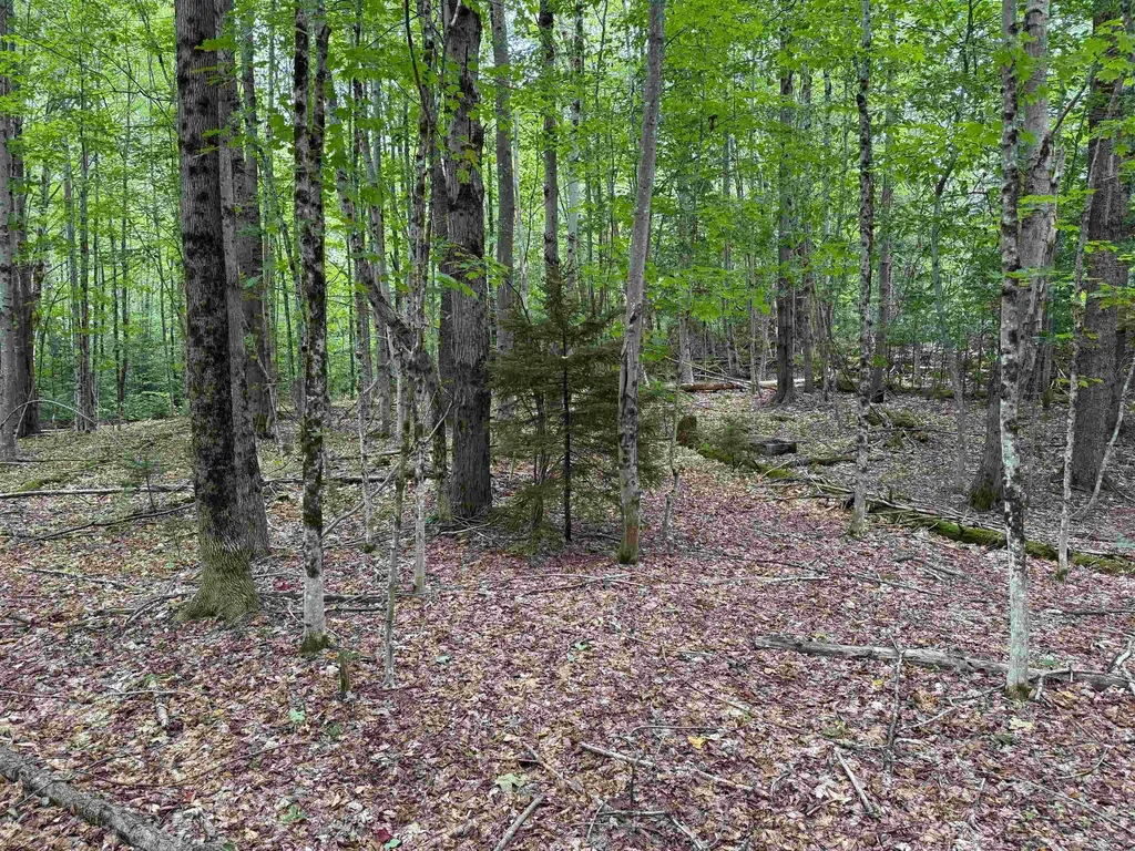 00 Lake Hill Road Whitingham VT 05361