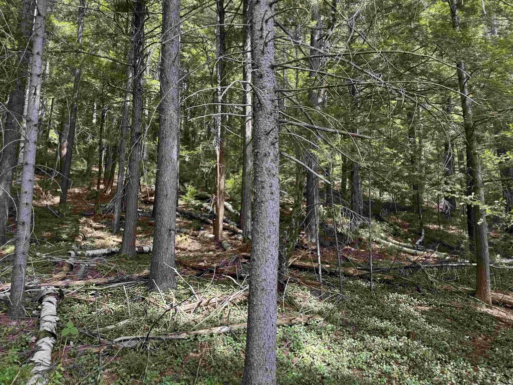 00 Lake Hill Road Whitingham VT 05361