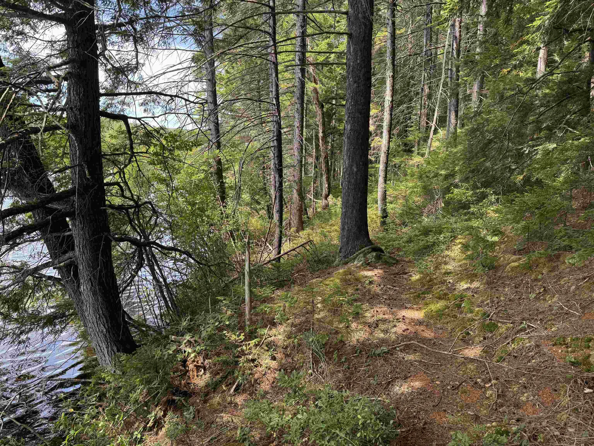 00 Lake Hill Road Whitingham VT 05361
