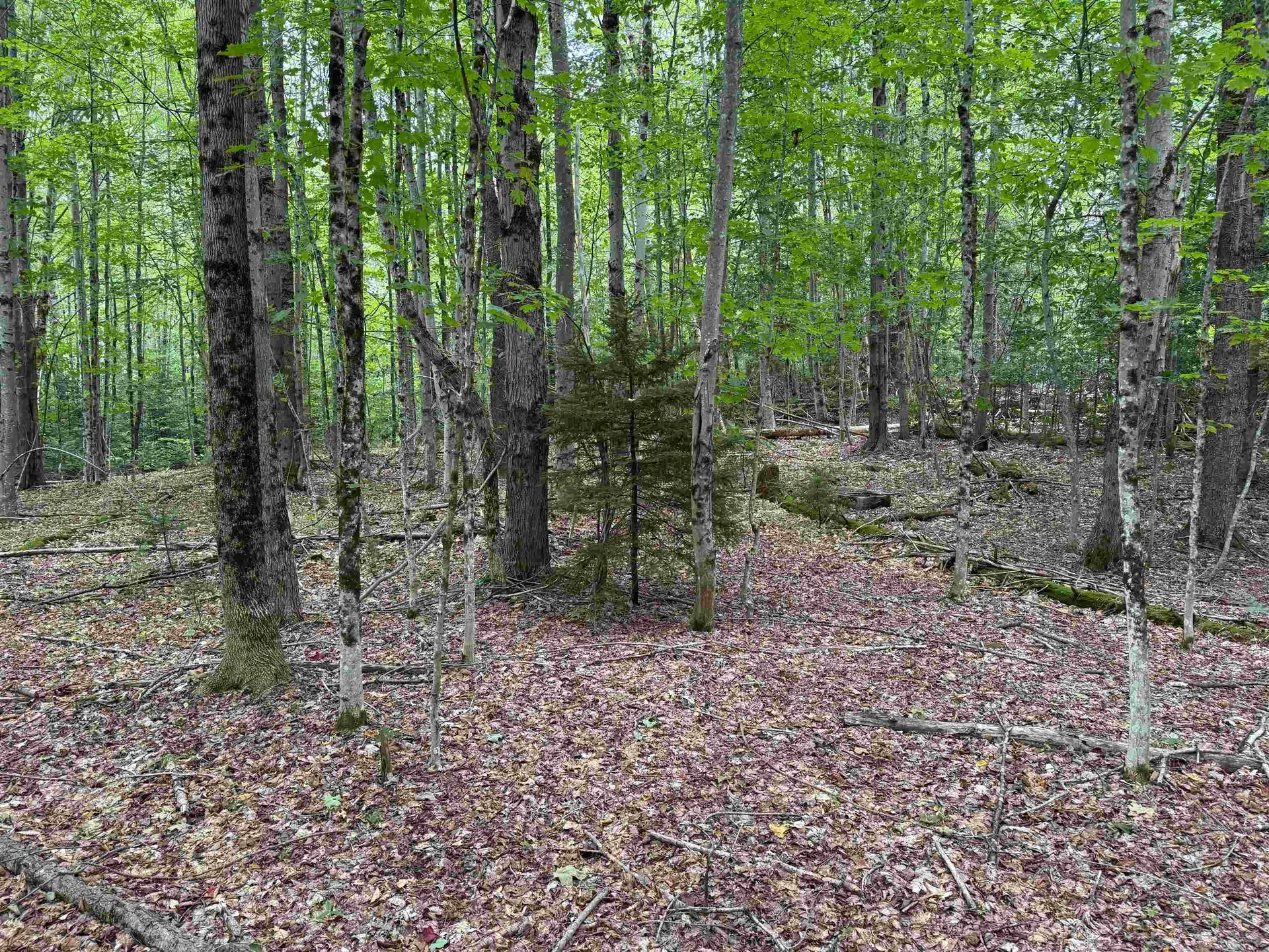 00 Lake Hill Road Whitingham VT 05361