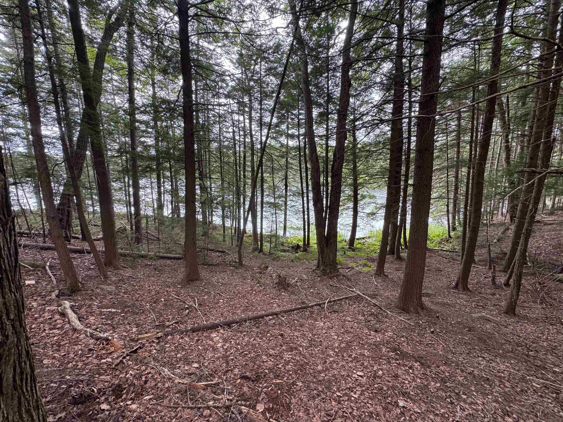 00 Lake Hill Road Whitingham VT 05361