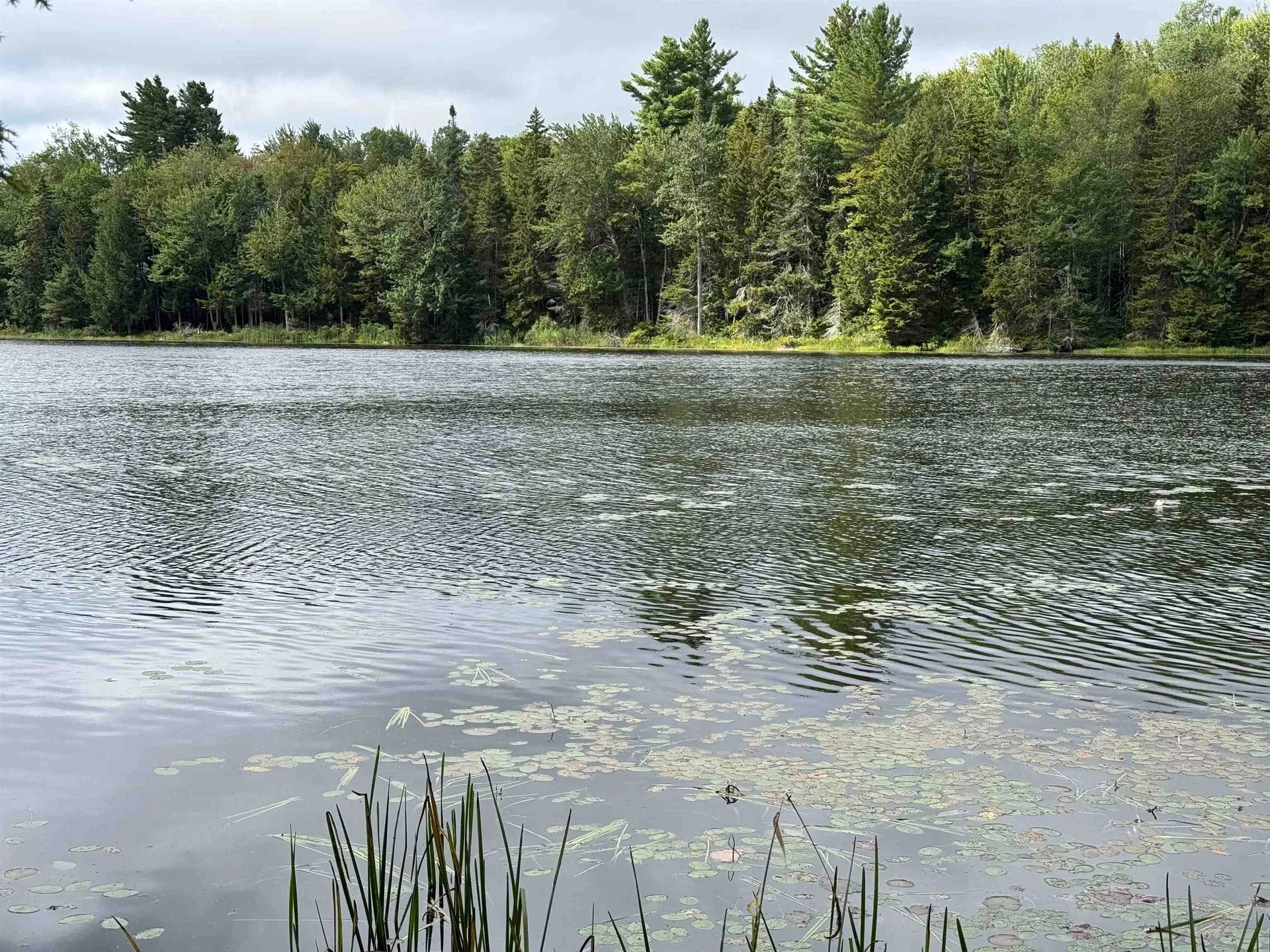 00 Lake Hill Road Whitingham VT 05361
