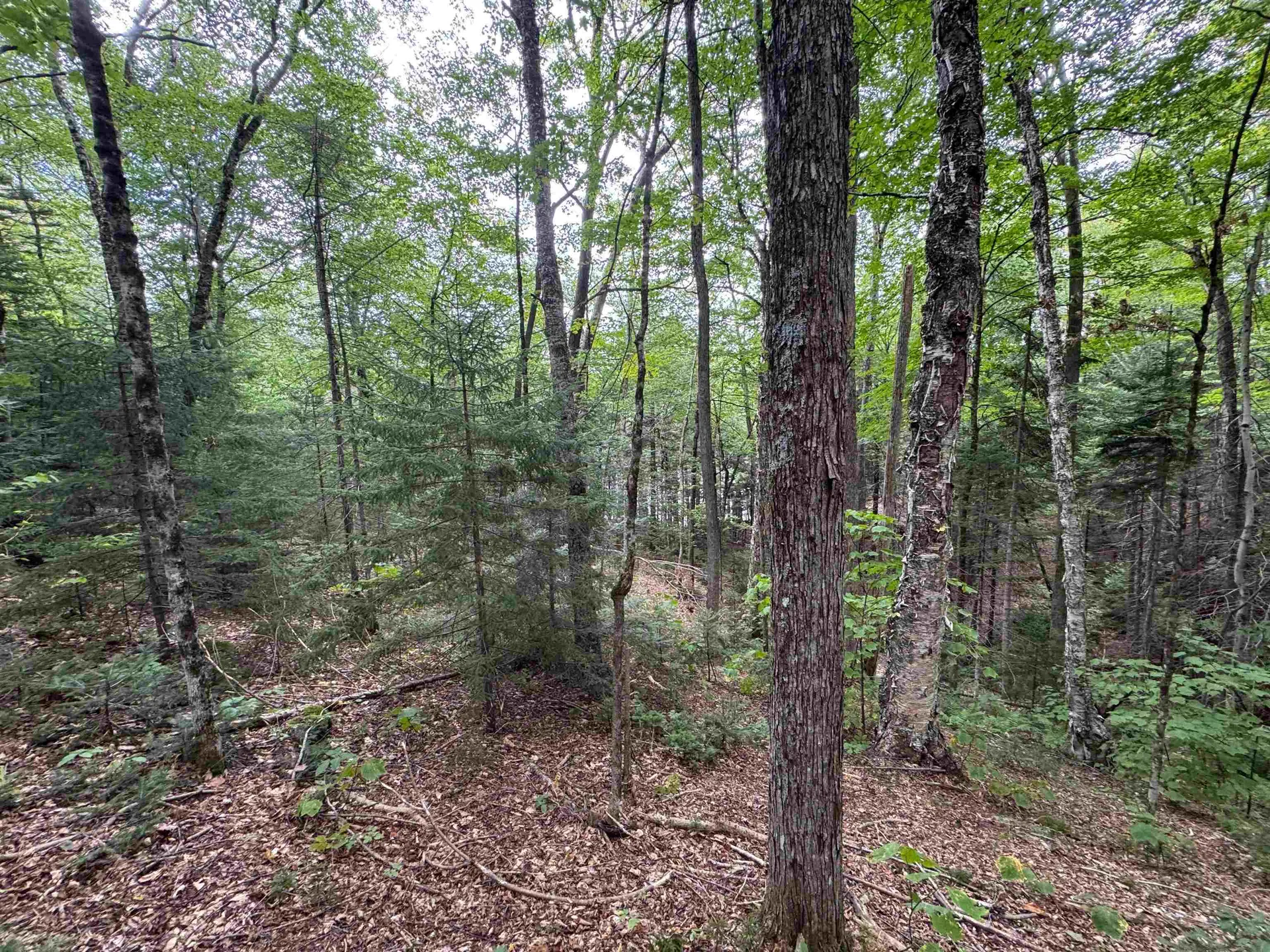 00 Lake Hill Road Whitingham VT 05361