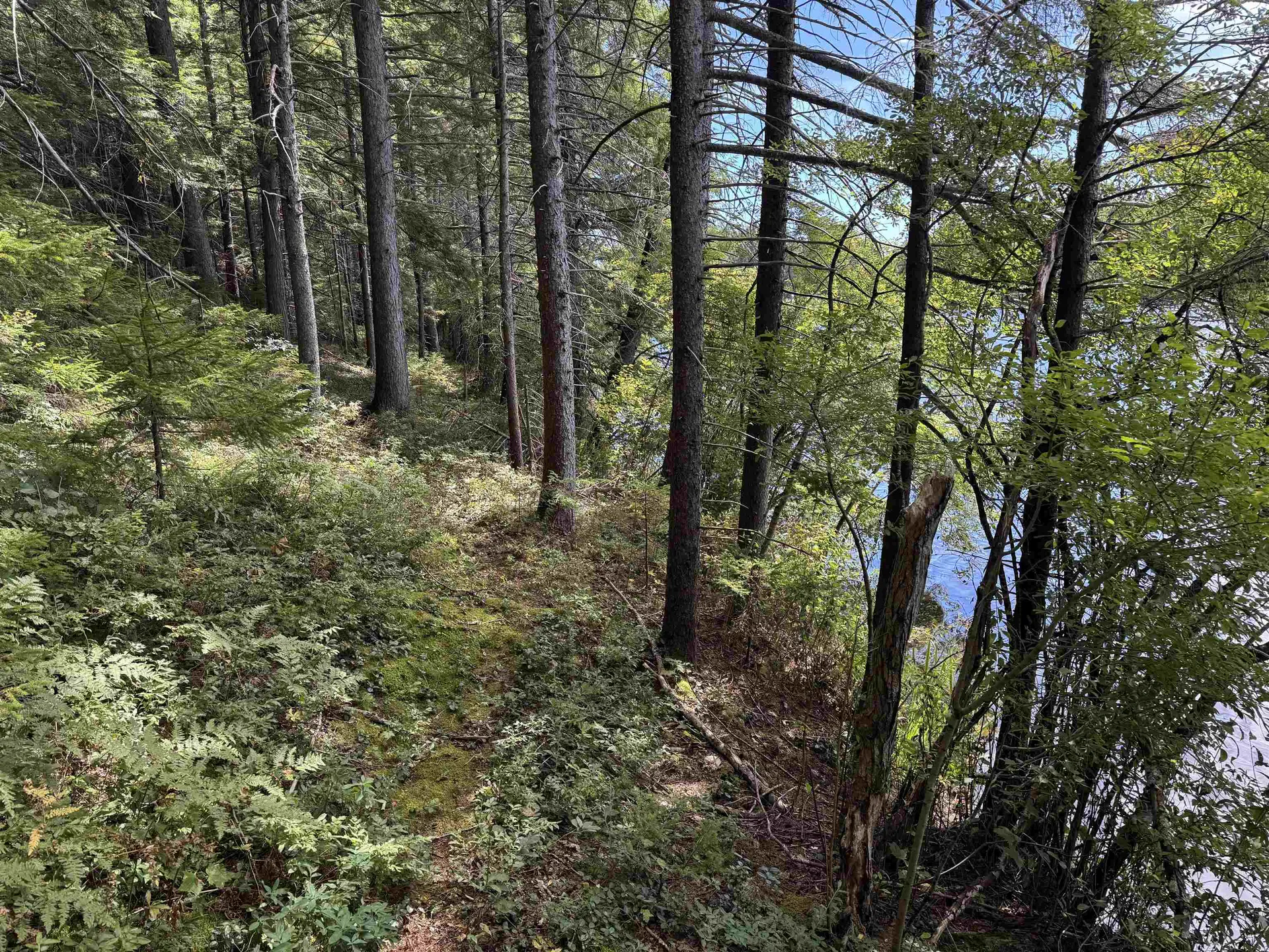 00 Lake Hill Road Whitingham VT 05361