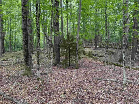 00 Lake Hill Road Whitingham VT 05361