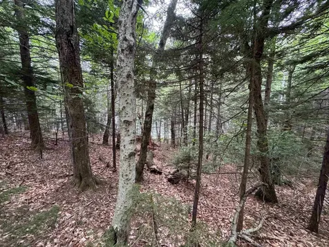 00 Lake Hill Road Whitingham VT 05361