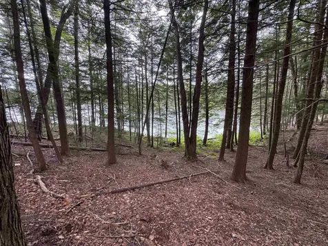 00 Lake Hill Road Whitingham VT 05361