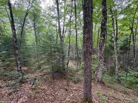 00 Lake Hill Road Whitingham VT 05361