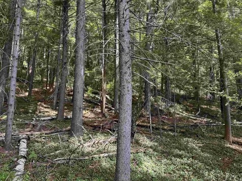 00 Lake Hill Road Whitingham VT 05361