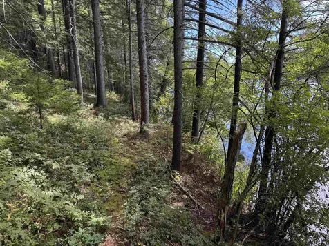 00 Lake Hill Road Whitingham VT 05361