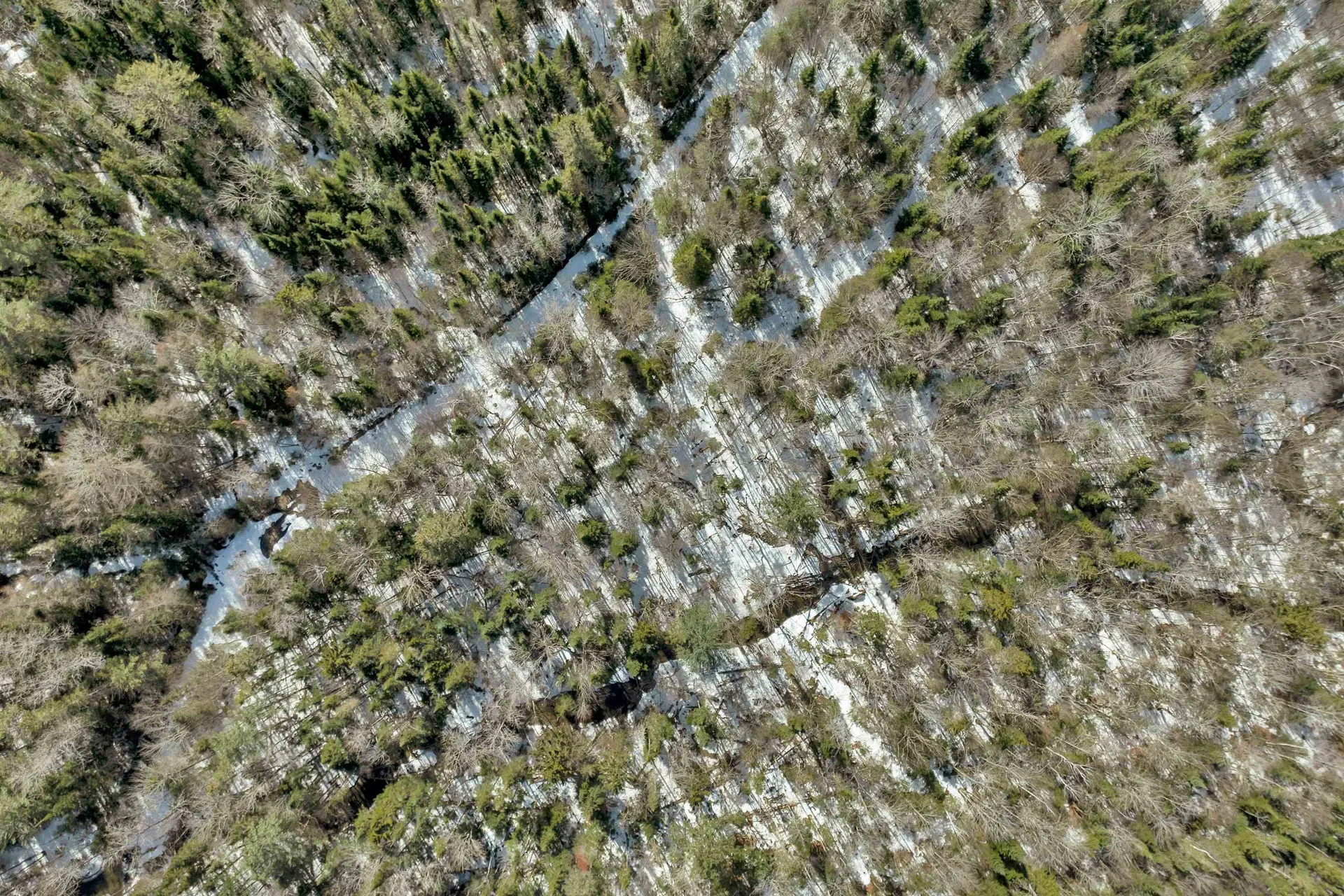 1720 Broomstick Hill Road Littleton NH 03561