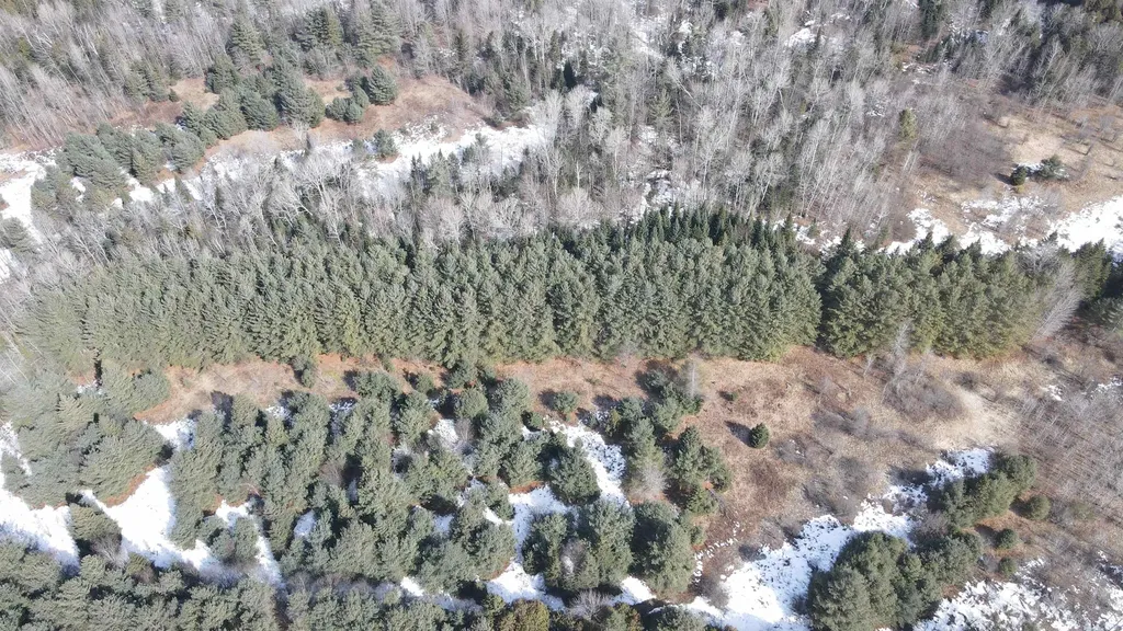 0 Hollow Road Barton VT 05822