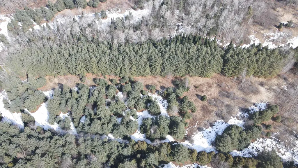 0 Hollow Road Barton VT 05822